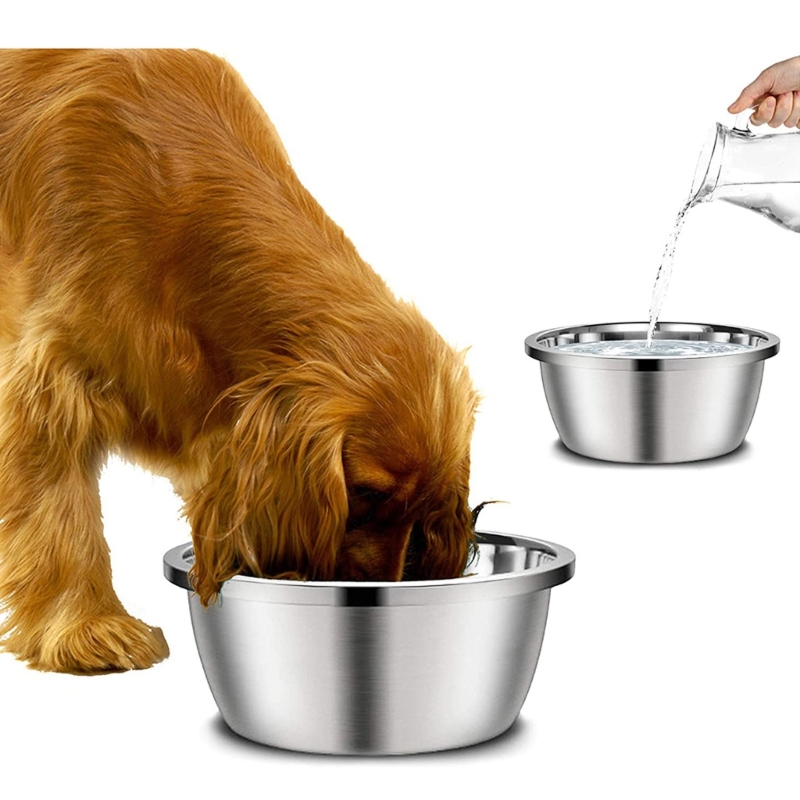 Royal Canin Food Medium - Tempat Makan Anjing dari Baja Tahan