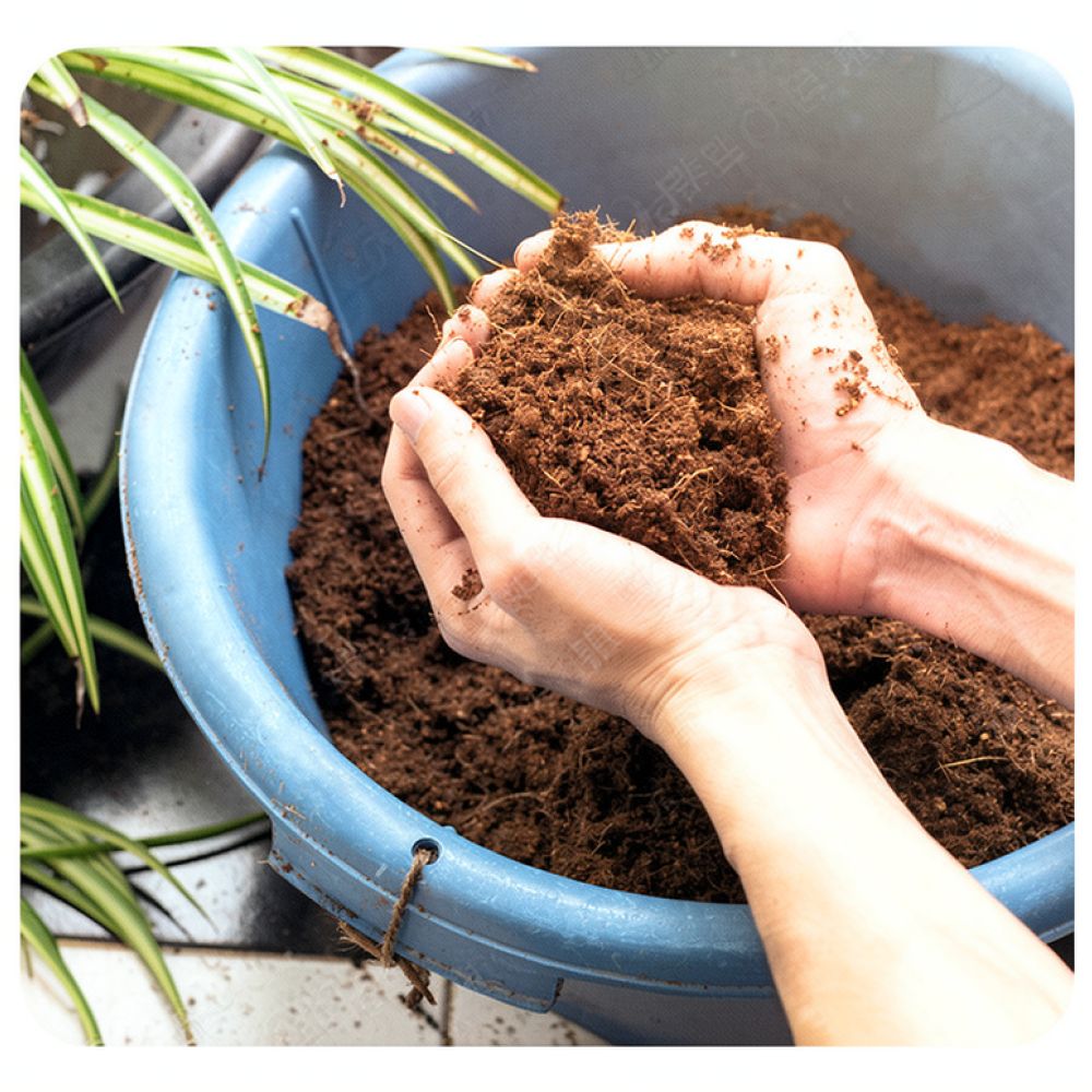 Bata Substrat Serbuk Kelapa de - Substrate Coconut Fiber ulasan dan harga